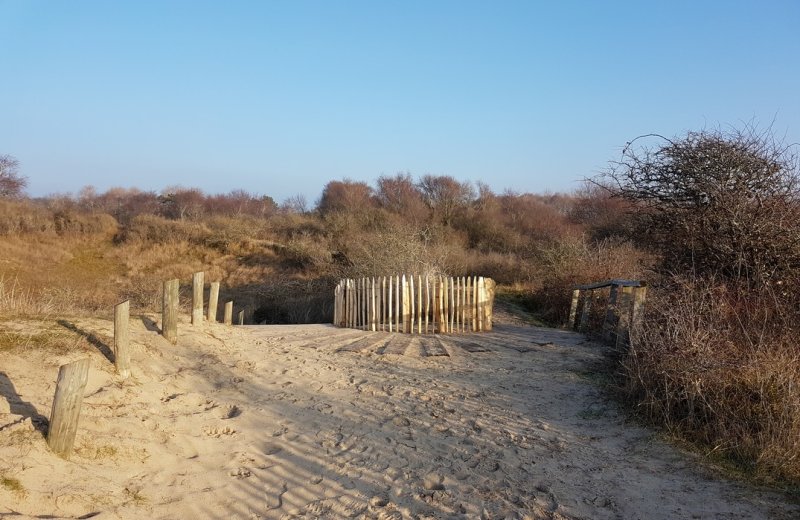Fort-Mahon-Plage point-de-vue--dune-de-l'authie©SommeTourisme-DM
