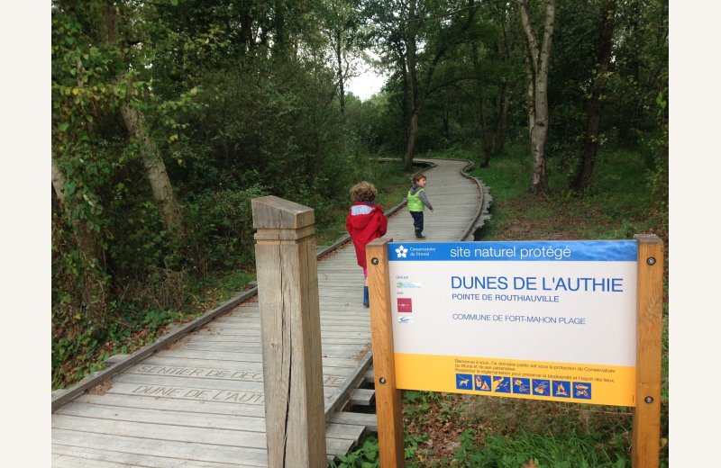 Fort-Mahon dunes de l'Authie