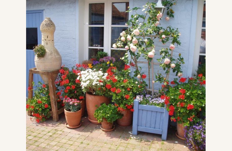 LE-CROTOY La Maison Bleue en Baie