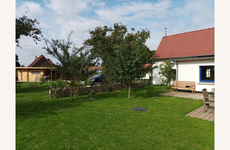 DOMINOIS Maison Houx