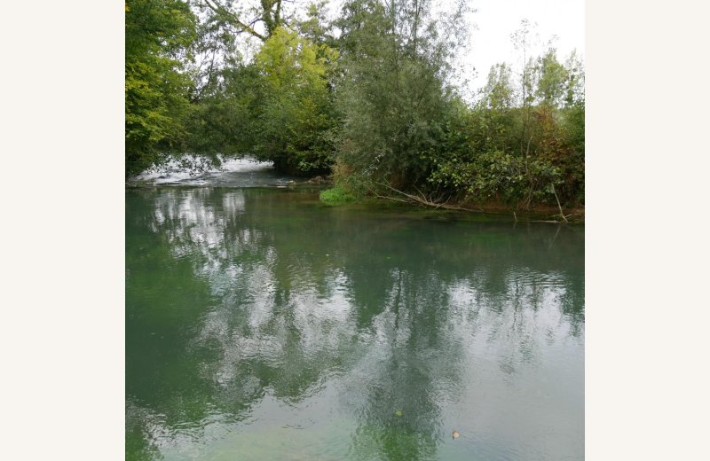 DOMINOIS Maison Houx