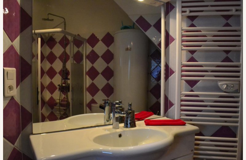 LE-CROTOY L'aigrette