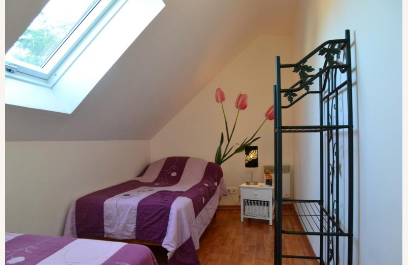 LE-CROTOY L'aigrette