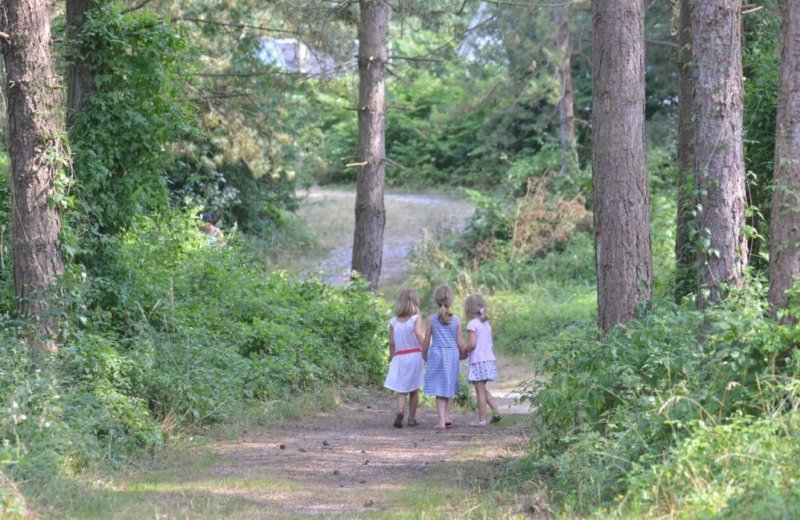 Domaine de Diane promenade bois Quend Somme Picardie