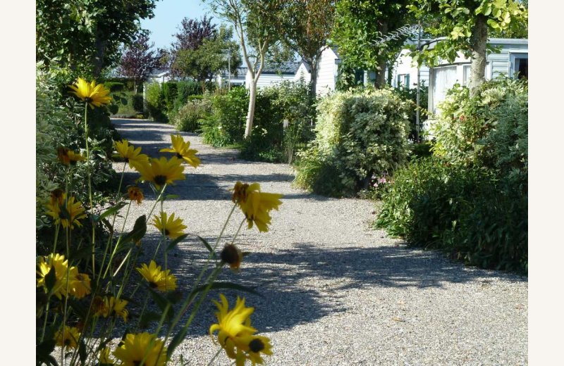 La Côte Picarde allée Le Crotoy Somme Picardie