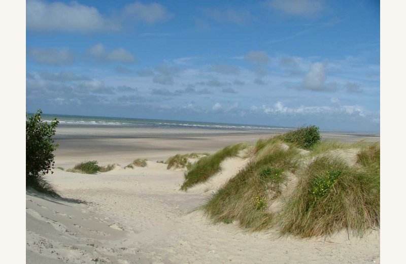 Flower Camping les Vertes Feuilles dune Quend Somme Picardie