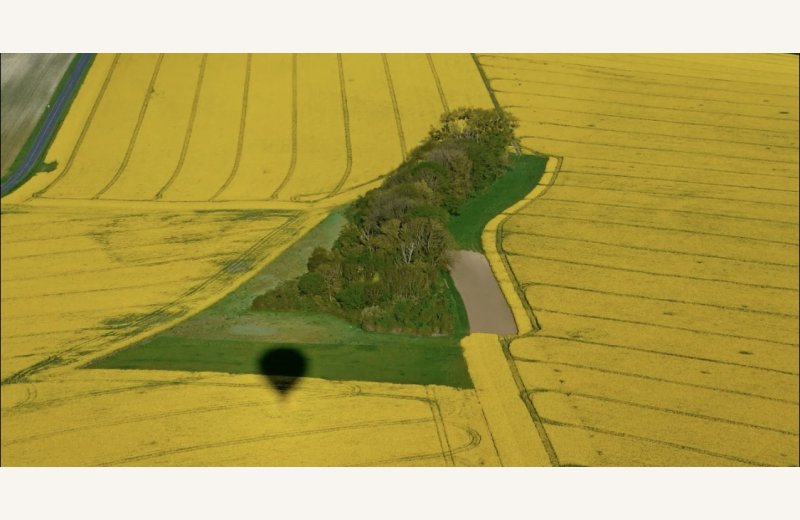 ombre et colza campagne Amiens