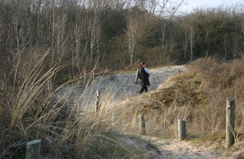 Dune de l'Authie