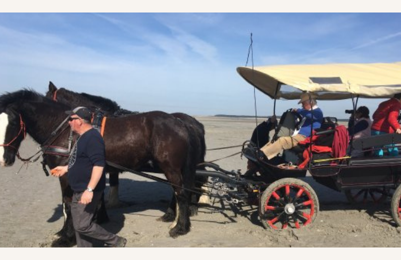 Dimensions photos SIM et site Internet - 8