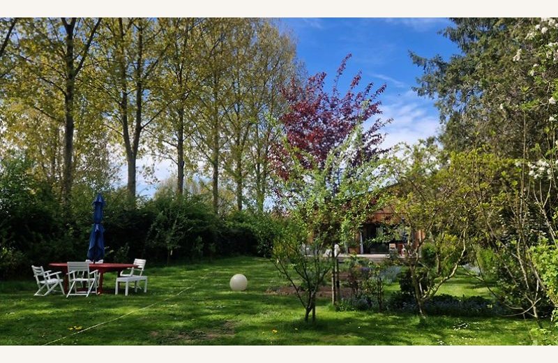 Dimensions photos SIM et site Internet - 1