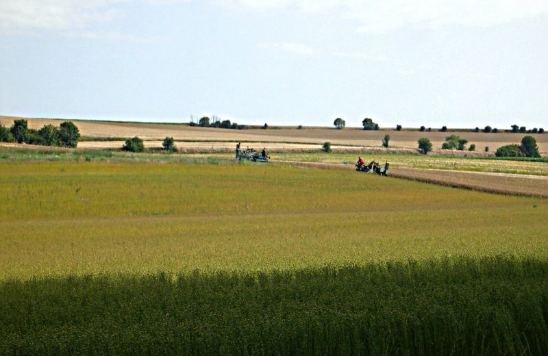 Le-fond-de-Millencourt--2--PDuvanel