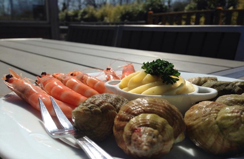 Le jardin - Domaine de Diane