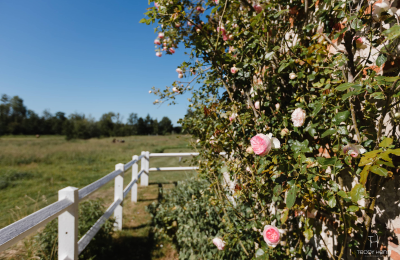 Les Aires en Scène 4