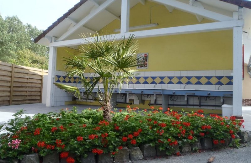 Les Oiseaux sanitaires Rue Somme Picardie