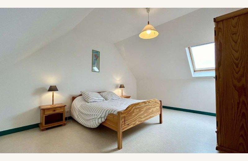 Les églantines n°3 1