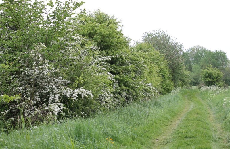 Morlay©SommeTourisme-JG-TS (6)