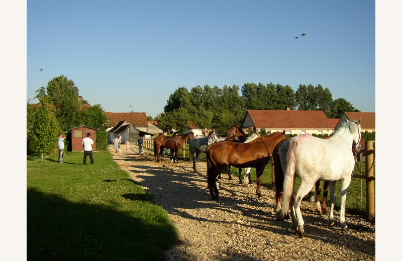 HPAPIC0800010550 Les Peupliers poney club  Vironchaux Somme HautsdeFrance