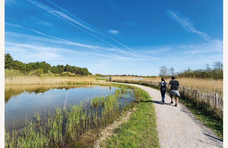 Parc du Marquenterre 2