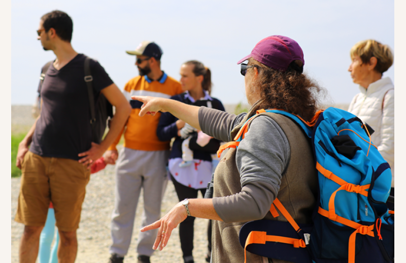 A la recontre des phoques en Baie de Somme