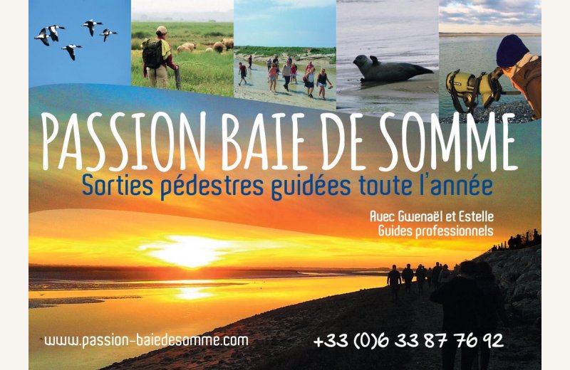 Encart PUB Passion Baie de Somme