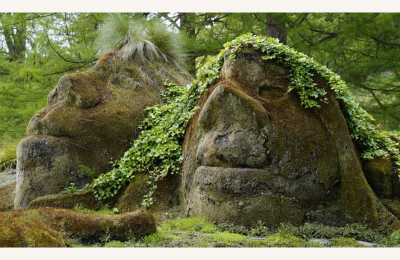 Dimensions photos SIM et site Internet - Quand la Forêt se raconte