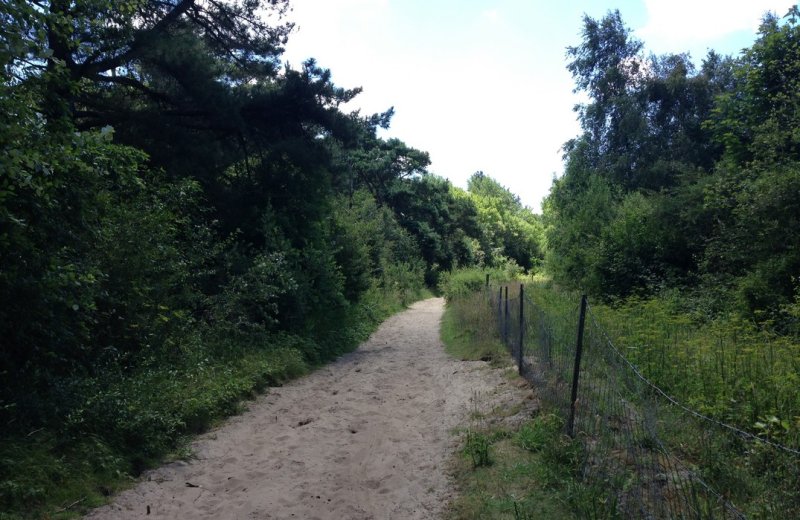 Quend chemin-apres-le-bosquet