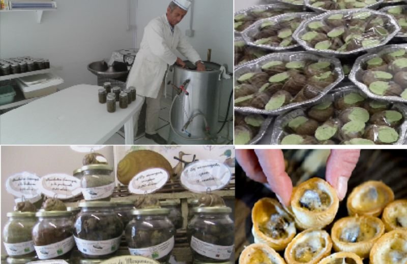 escargotiere du marquenterre