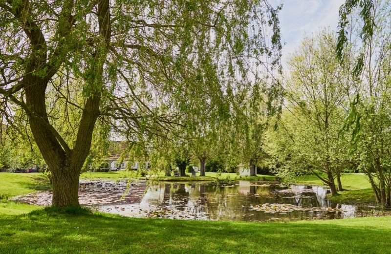 SIM nouvelles dimensions 2026 - 1