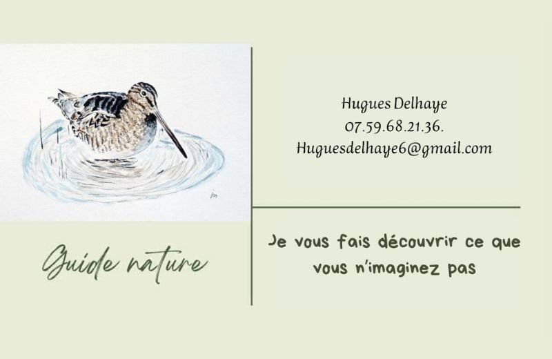 carte-visite-delhaye