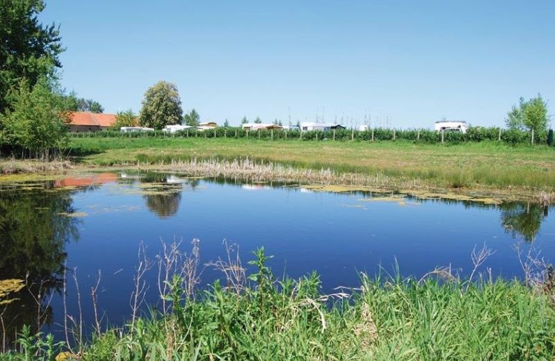 SIM nouvelles dimensions 2026 - 1