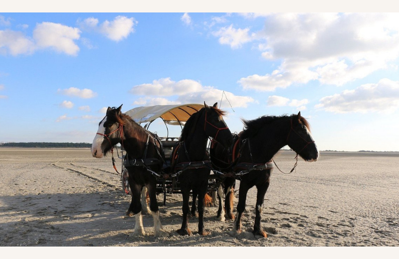 Dimensions photos SIM et site Internet - 8