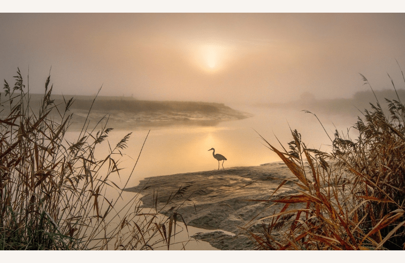 Découverte de la baie Céline