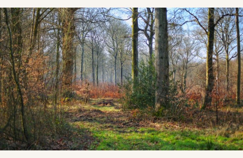 Dimensions photos SIM et site Internet - 8 (2)