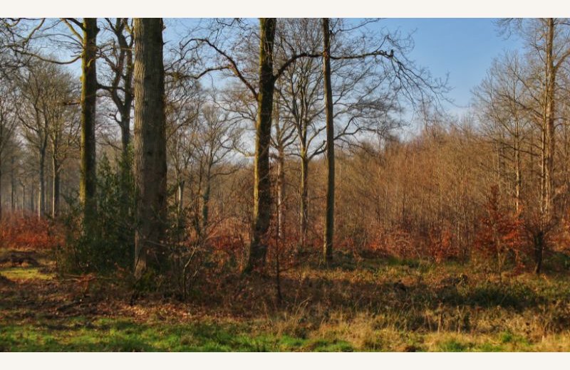 Dimensions photos SIM et site Internet - 8 (3)