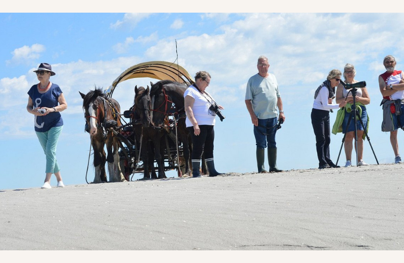 Dimensions photos SIM et site Internet - 8