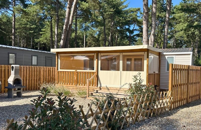 SIM nouvelles dimensions 2026 - 1