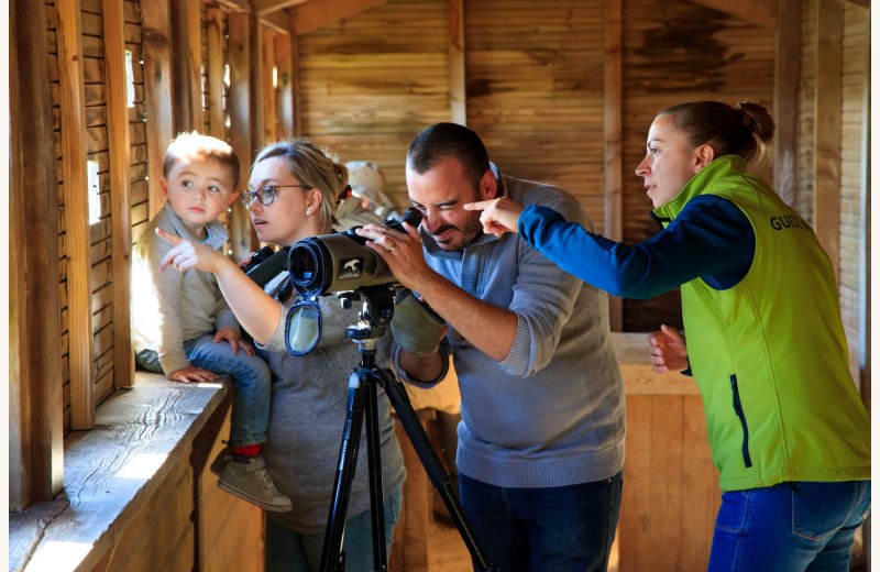 parc ornithologique du marquenterre, saint quentin en tourmont, baie de somme