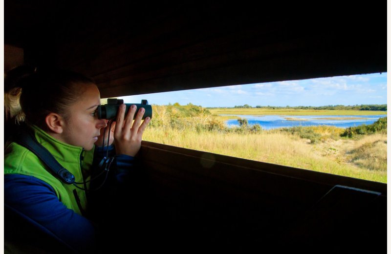 parc ornithologique du marquenterre, saint quentin en tourmont, baie de somme