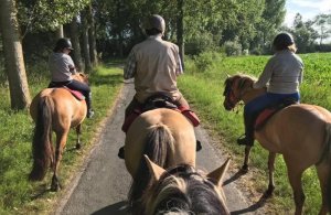 Ferme Equestre de Morlay
