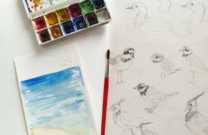 Atelier "Paysage de la baie et sa faune à l'aquarelle"