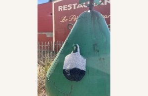 Grand ramassage de déchets marins