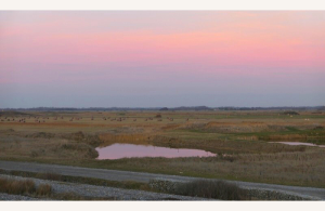 Balade slow life en pleine nature : éloge de la lenteur