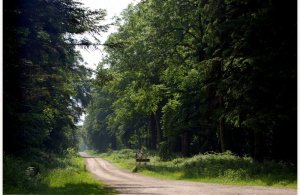 La boucle de la Grande Ceinture