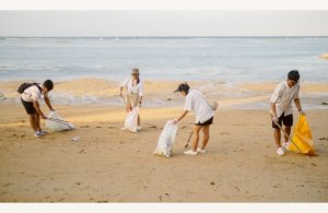 Nettoyage de plage collectif