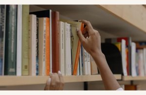 Bibliothèque Départementale de la Somme