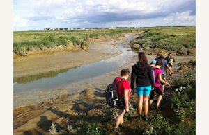 Escapades en Baie de Somme