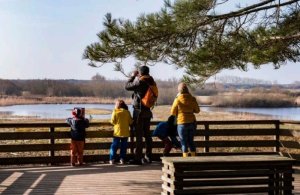 Découverte des oiseaux hivernants