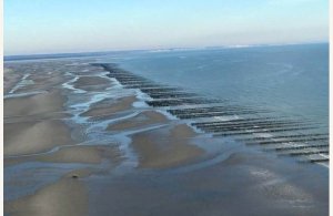 Norwoé Découvertes