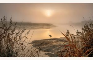Découverte de la Baie