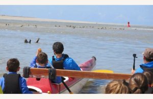 Pirogue Ma Baie de Somme